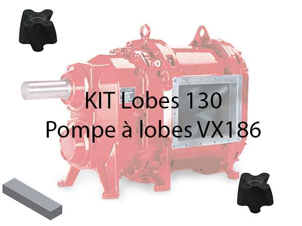 Kit lobes 130 pour Pompe VX186